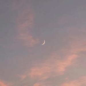 !脱👙让学生C🐻
