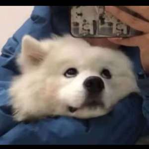 !脱👙让学生C🐻
