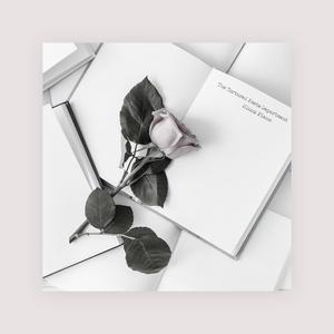 !脱👙让学生C🐻
